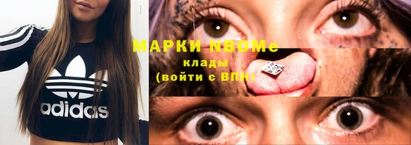 прущие грибы Алексеевка