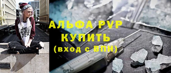 крисы Алексин