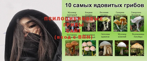 крисы Алексин