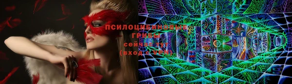 крисы Алексин