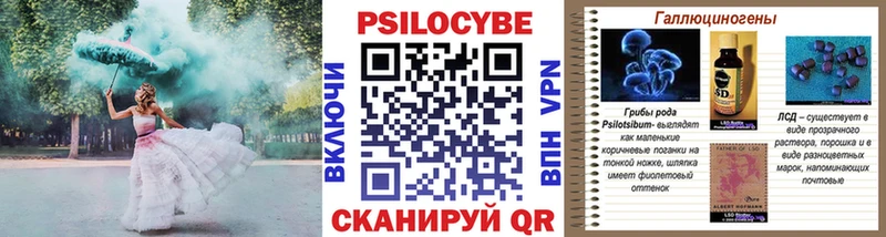 блэк спрут ONION Казань Псилоцибиновые грибы мухоморы
