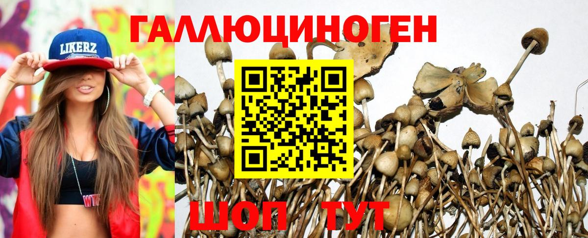 Казань  Галлюциногенные грибы GOLDEN TEACHER  Псилоцибиновые грибы Cubensis  Вход с VPN 